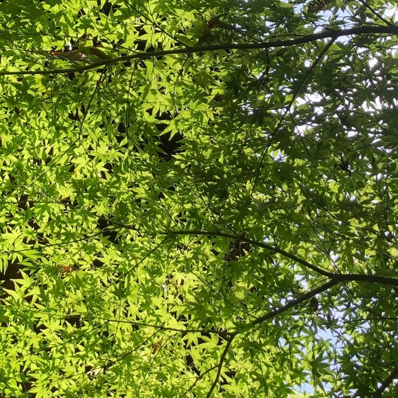 Meet your Posher, Debby - Picture 1 of 1